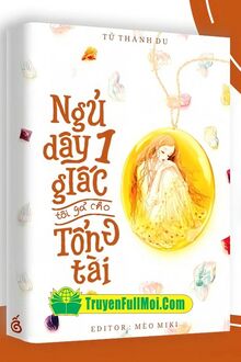 Ngủ Dậy Một Giấc Tôi Gả Cho Tổng Tài
