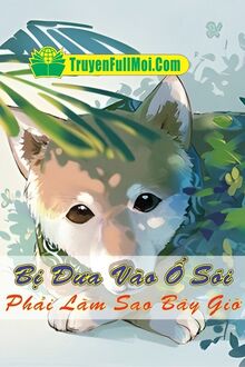 Bị Đưa Vào Ổ Sói Phải Làm Sao Bây Giờ